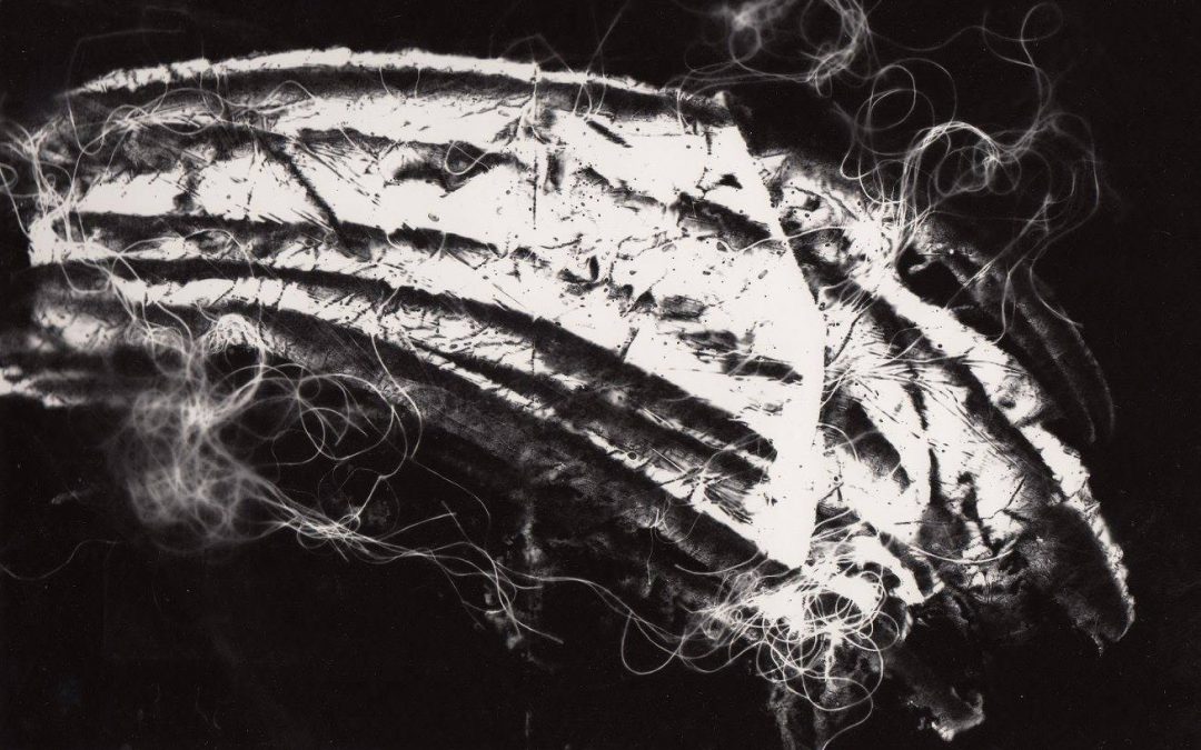 Hodgkins Black and White